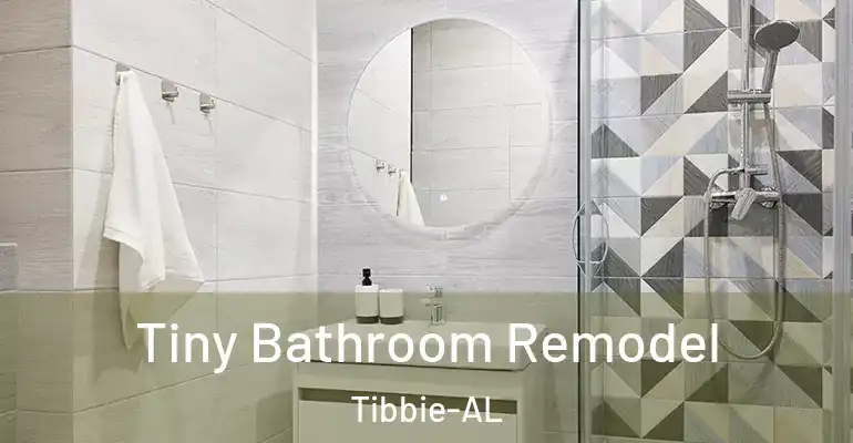 inner Bathroom imggen Tiny Bathroom Remodel Tibbie-AL