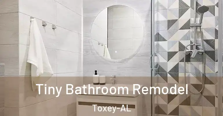 inner Bathroom imggen Tiny Bathroom Remodel Toxey-AL