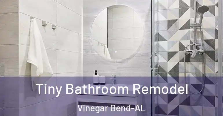 inner Bathroom imggen Tiny Bathroom Remodel Vinegar Bend-AL