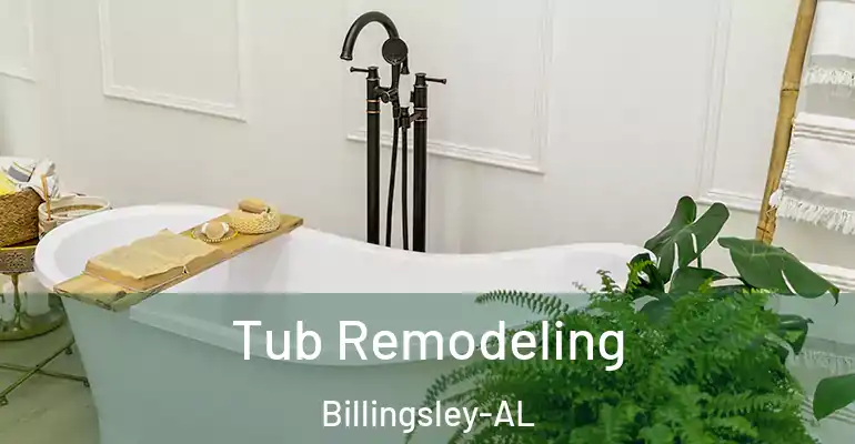 inner Bathroom imggen Tub Remodeling Billingsley-AL