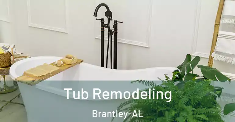 inner Bathroom imggen Tub Remodeling Brantley-AL