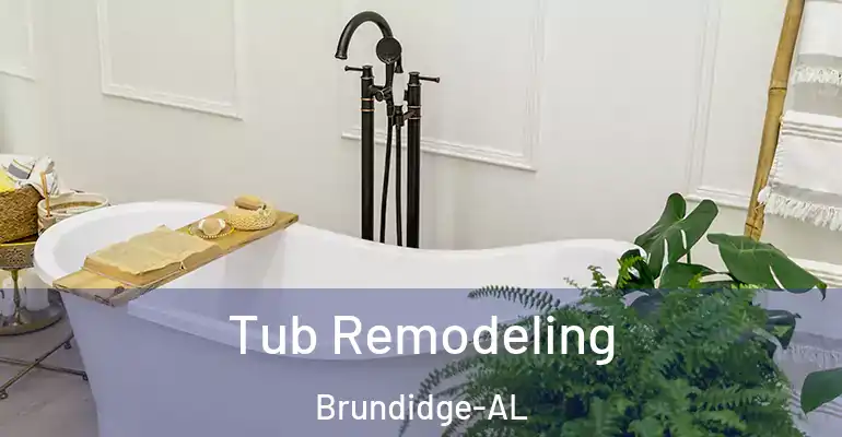 inner Bathroom imggen Tub Remodeling Brundidge-AL
