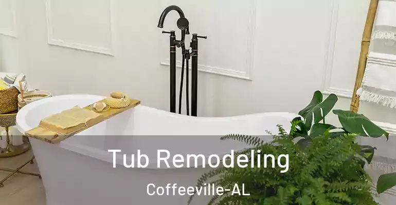 inner Bathroom imggen Tub Remodeling Coffeeville-AL