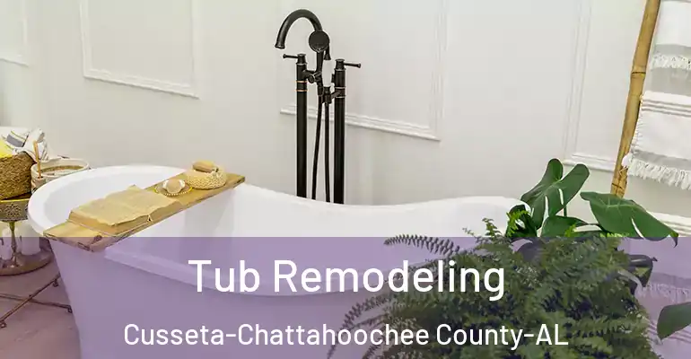 inner Bathroom imggen Tub Remodeling Cusseta-Chattahoochee County-AL