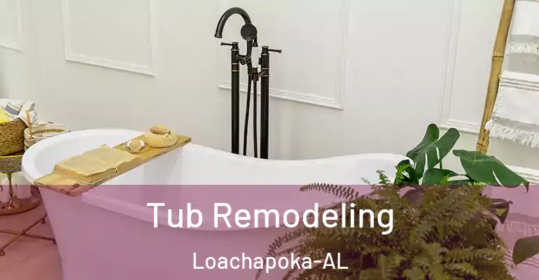 inner Bathroom imggen Tub Remodeling Loachapoka-AL