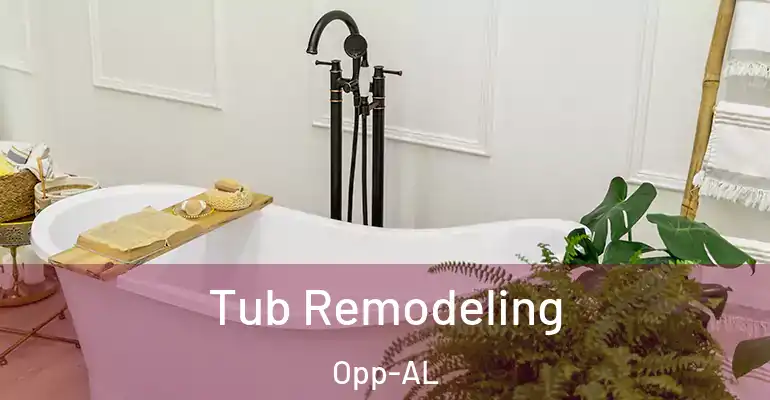 inner Bathroom imggen Tub Remodeling Opp-AL