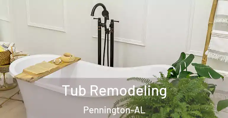 inner Bathroom imggen Tub Remodeling Pennington-AL