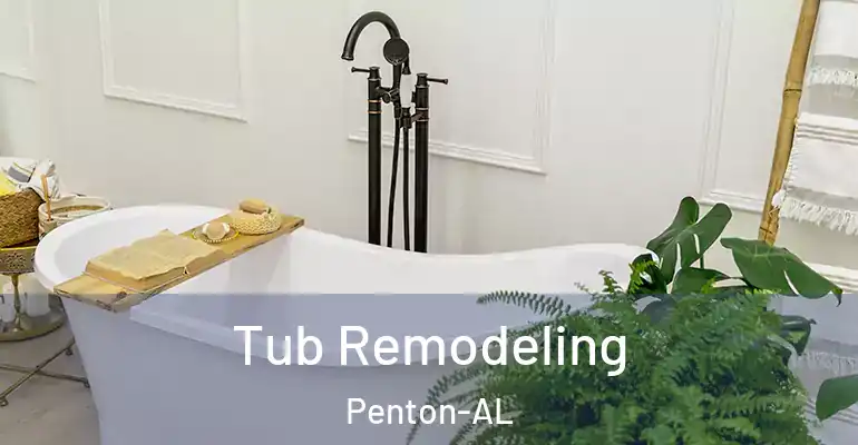 inner Bathroom imggen Tub Remodeling Penton-AL