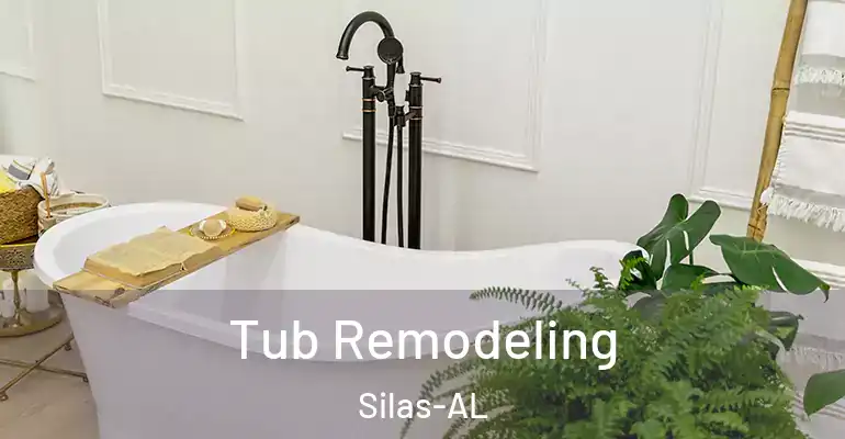 inner Bathroom imggen Tub Remodeling Silas-AL