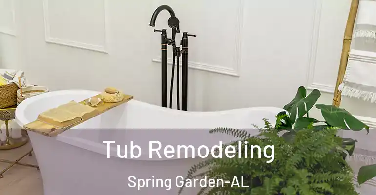 inner Bathroom imggen Tub Remodeling Spring Garden-AL
