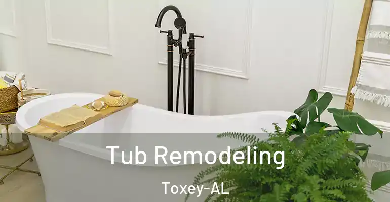 inner Bathroom imggen Tub Remodeling Toxey-AL