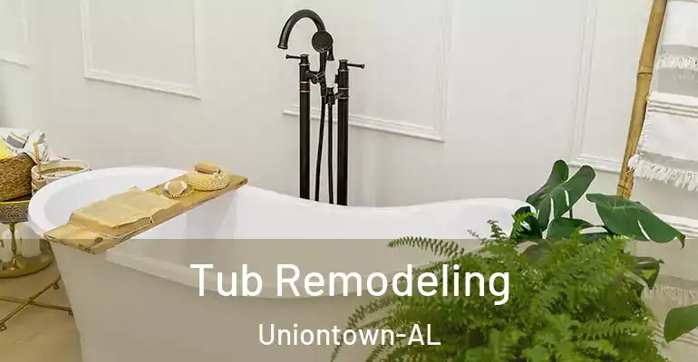 inner Bathroom imggen Tub Remodeling Uniontown-AL