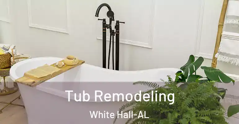inner Bathroom imggen Tub Remodeling White Hall-AL