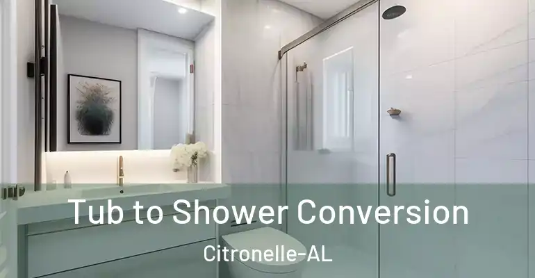 inner Bathroom imggen Tub to Shower Conversion Citronelle-AL