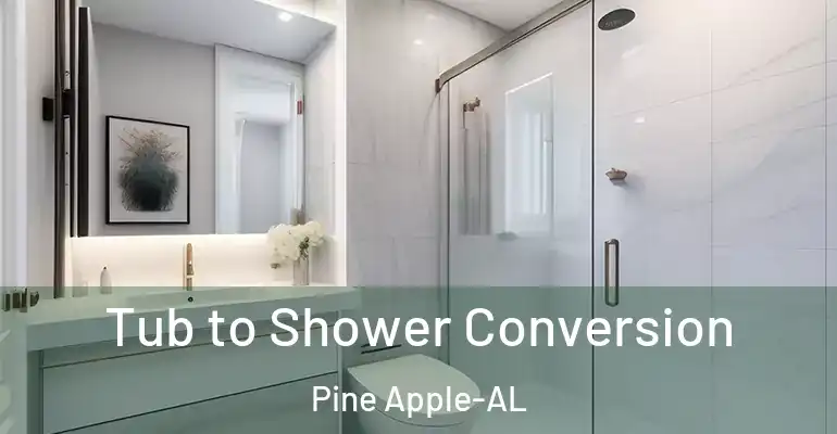 inner Bathroom imggen Tub to Shower Conversion Pine Apple-AL
