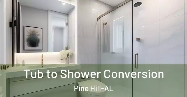 inner Bathroom imggen Tub to Shower Conversion Pine Hill-AL