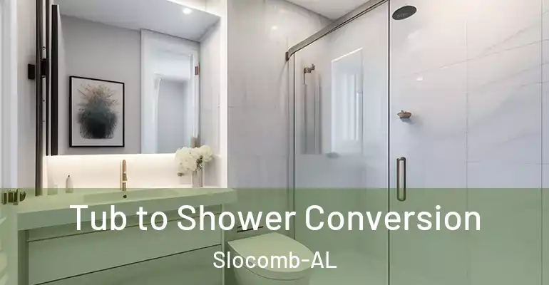 inner Bathroom imggen Tub to Shower Conversion Slocomb-AL
