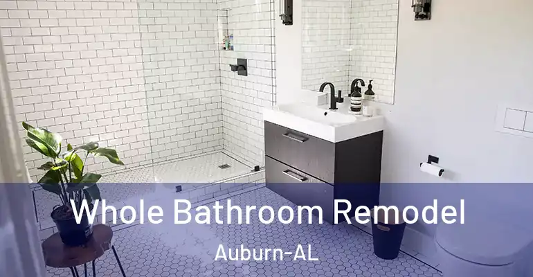 inner Bathroom imggen Whole Bathroom Remodel Auburn-AL