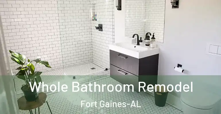 inner Bathroom imggen Whole Bathroom Remodel Fort Gaines-AL