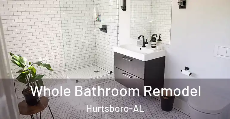 inner Bathroom imggen Whole Bathroom Remodel Hurtsboro-AL