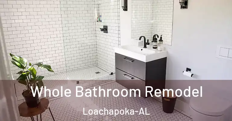 inner Bathroom imggen Whole Bathroom Remodel Loachapoka-AL