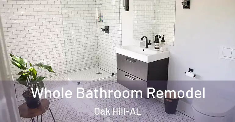 inner Bathroom imggen Whole Bathroom Remodel Oak Hill-AL