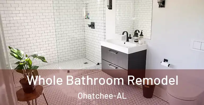 inner Bathroom imggen Whole Bathroom Remodel Ohatchee-AL