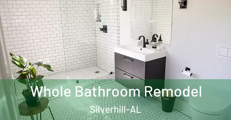 inner Bathroom imggen Whole Bathroom Remodel Silverhill-AL