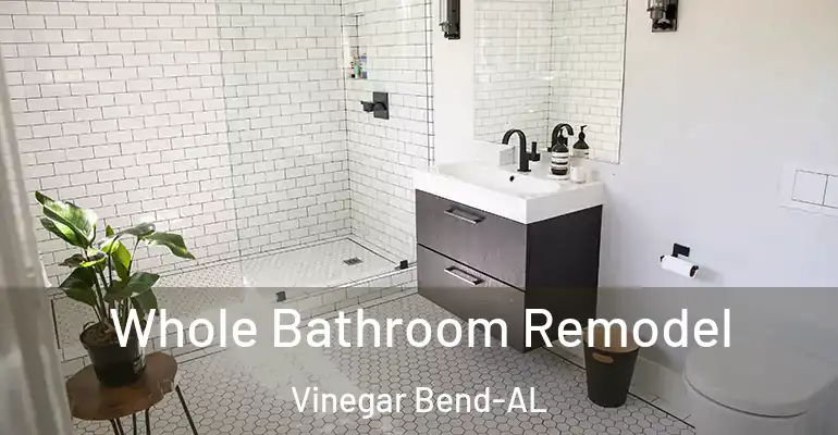 inner Bathroom imggen Whole Bathroom Remodel Vinegar Bend-AL